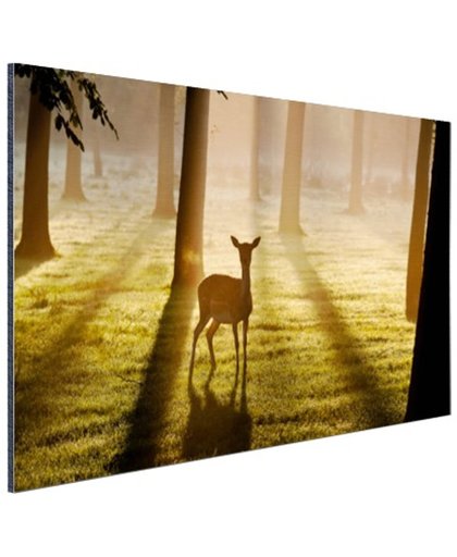 Hert in het bos foto afdruk Aluminium 180x120 cm - Foto print op Aluminium (metaal wanddecoratie)