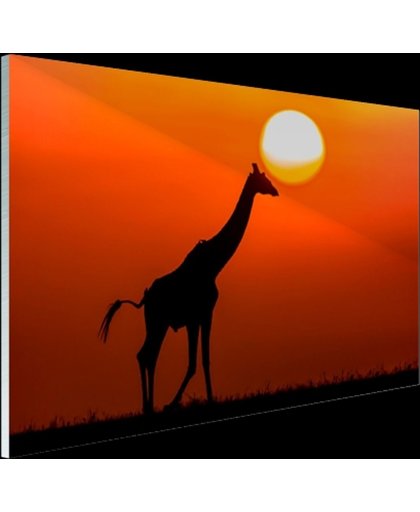 Giraffe bij zonsondergang Glas 180x120 cm - Foto print op Glas (Plexiglas wanddecoratie)