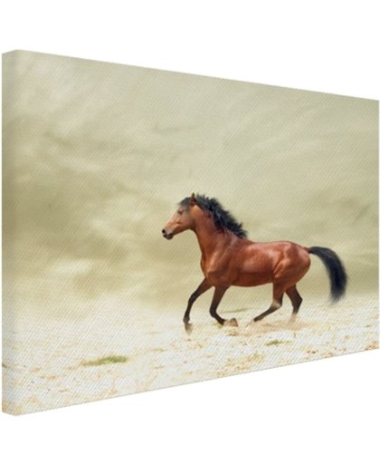 Galopperend paard Canvas 180x120 cm - Foto print op Canvas schilderij (Wanddecoratie)