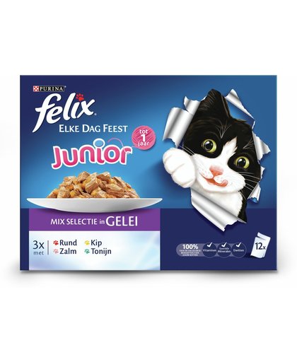 Felix Multipack Pouch Elke Dag Feest Kitten - Vlees/Vis - Kattenvoer - 12 x 100 g