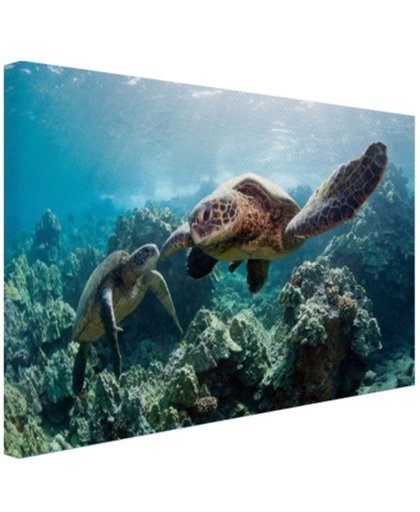 Twee zeeschildpadden Canvas 180x120 cm - Foto print op Canvas schilderij (Wanddecoratie)