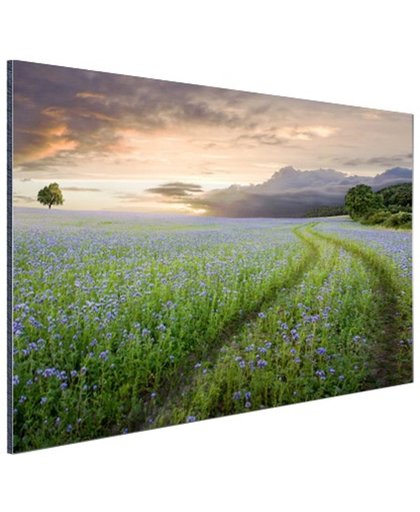 Blauwe en paarse bloemen zonsondergang Aluminium 180x120 cm - Foto print op Aluminium (metaal wanddecoratie)
