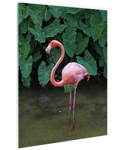 Een flamingo met planten achtergrond Glas 20x30 cm - Foto print op Glas (Plexiglas wanddecoratie)