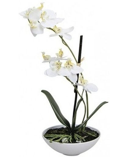 Kunstplanten in pot witte orchidee 25 cm - Witte Phalaenopsis in bloempot 25 cm