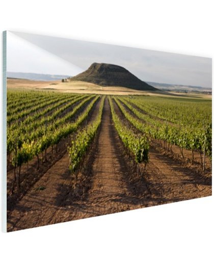 FotoCadeau.nl - Landelijke wijngaard fotoafdruk Glas 90x60 cm - Foto print op Glas (Plexiglas wanddecoratie)