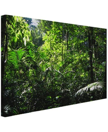 Regenwoud Brazilie  Canvas 180x120 cm - Foto print op Canvas schilderij (Wanddecoratie)