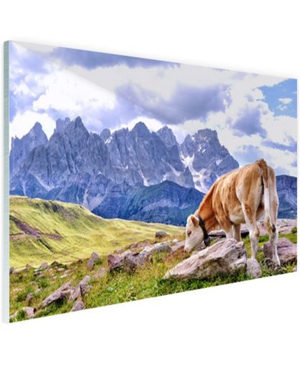 Koeien grazen alpenweide Glas 180x120 cm - Foto print op Glas (Plexiglas wanddecoratie)