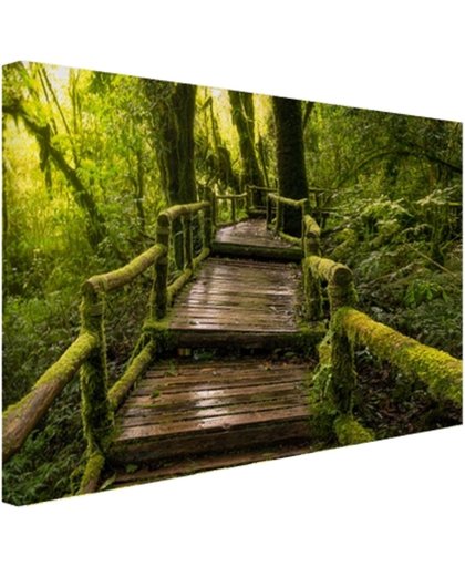 FotoCadeau.nl - Mooi regenwoud en jungle Canvas 80x60 cm - Foto print op Canvas schilderij (Wanddecoratie)