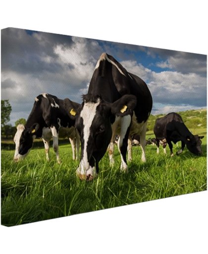 Drie Holstein koeien Canvas 180x120 cm - Foto print op Canvas schilderij (Wanddecoratie)