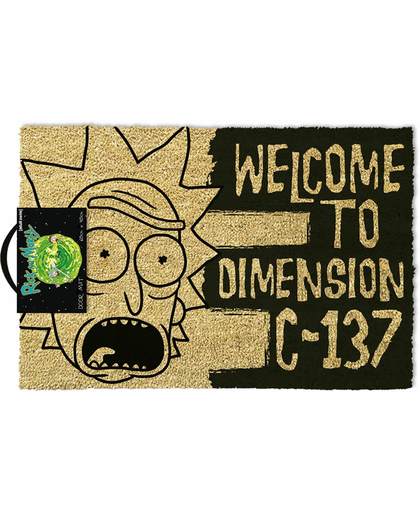 Rick and Morty Dimension C-137 deurmat