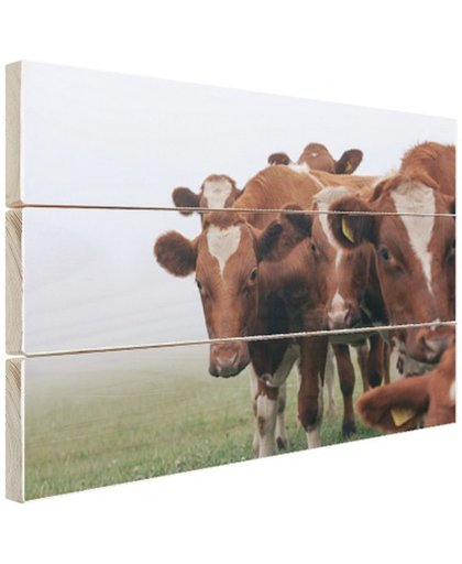 FotoCadeau.nl - Groep nieuwsgierige koeien Hout 60x40 cm - Foto print op Hout (Wanddecoratie)