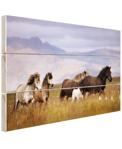 FotoCadeau.nl - Paarden in de bergen Hout 60x40 cm - Foto print op Hout (Wanddecoratie)