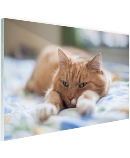 Kat ontspannen op bed Glas 180x120 cm - Foto print op Glas (Plexiglas wanddecoratie)