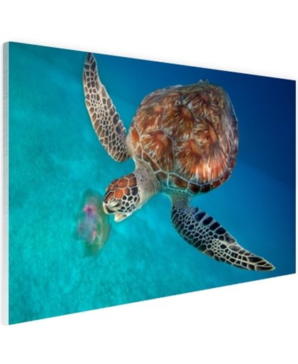 Groene schildpad met kwal Glas 180x120 cm - Foto print op Glas (Plexiglas wanddecoratie)