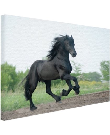 Prachtig zwart paard Canvas 180x120 cm - Foto print op Canvas schilderij (Wanddecoratie)