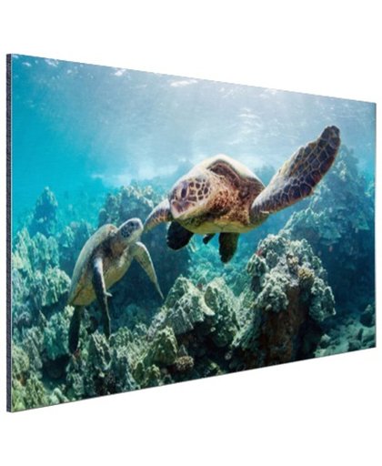 FotoCadeau.nl - Twee zeeschildpadden Aluminium 90x60 cm - Foto print op Aluminium (metaal wanddecoratie)