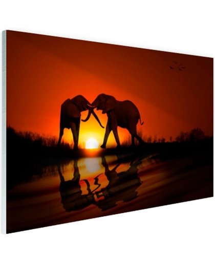 Olifanten koppel bij zonsondergang Glas 180x120 cm - Foto print op Glas (Plexiglas wanddecoratie)