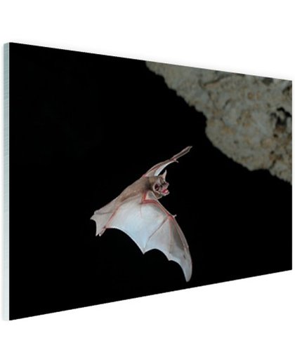 Vleermuis in grot Glas 180x120 cm - Foto print op Glas (Plexiglas wanddecoratie)