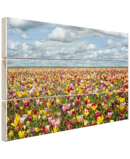 FotoCadeau.nl - Tulpenvelden in Oregon Hout 30x20 cm - Foto print op Hout (Wanddecoratie)