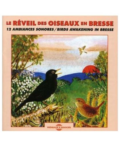 Sounds of Nature: Birds Awakening in Bresse