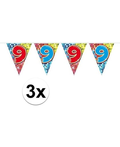 3x  Mini vlaggenlijn / slinger - verjaardag 9 jaar - 300 cm
