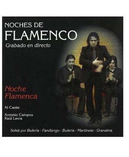 Noche Flamenco. Noches De Flamenco