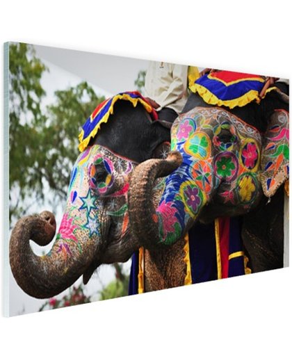 Twee beschilderde olifanten Glas 180x120 cm - Foto print op Glas (Plexiglas wanddecoratie)