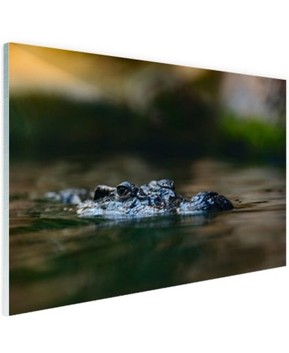FotoCadeau.nl - Krokodil aan de oppervlakte Glas 60x40 cm - Foto print op Glas (Plexiglas wanddecoratie)