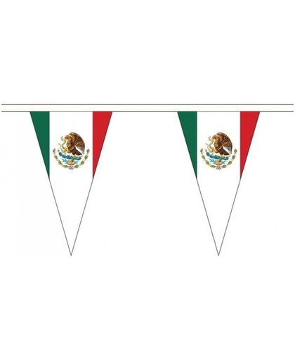 Mexico landen punt vlaggetjes 5 meter - slinger / vlaggenlijn