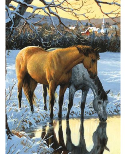 Diamond Painting Pakket Paarden drinken water - Volledig - Full - 25x30 cm - SEOS Shop ®