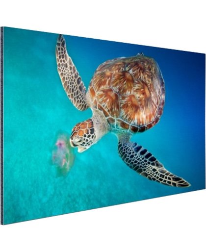 FotoCadeau.nl - Groene schildpad met kwal Aluminium 30x20 cm - Foto print op Aluminium (metaal wanddecoratie)