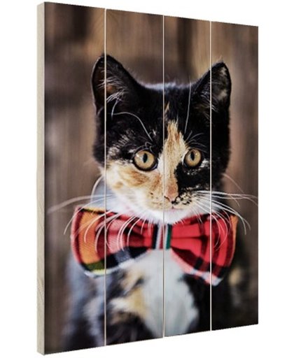 Kat met strikje - Fotoprint op Hout 20x30 cm