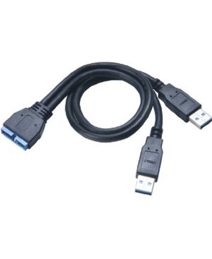 Akasa AK-CBUB12-30BK kabeladapter/verloopstukje 2 x USB 3.0 USB 3.0 Pin header Zwart
