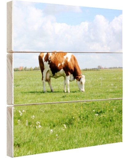 FotoCadeau.nl - Bruin-witte koe in de wei Hout 20x20 cm - Foto print op Hout (Wanddecoratie)