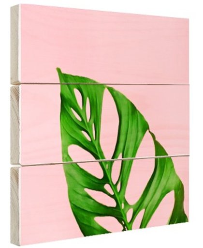 FotoCadeau.nl - Botanisch blad met roze achtergrond Hout 20x20 cm - Foto print op Hout (Wanddecoratie)