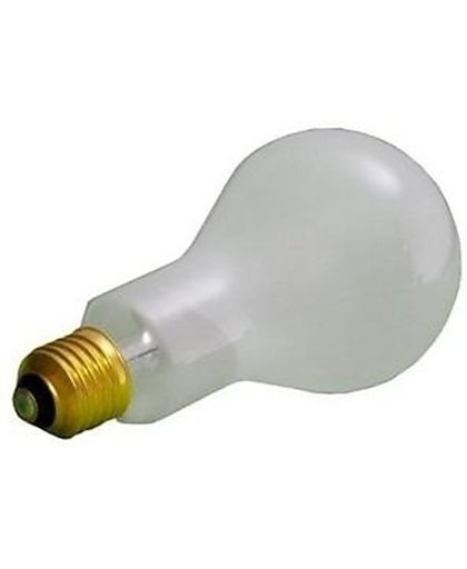 Lastolite 500W p 2/1 tungsten bulb 240V E27 UK/EU