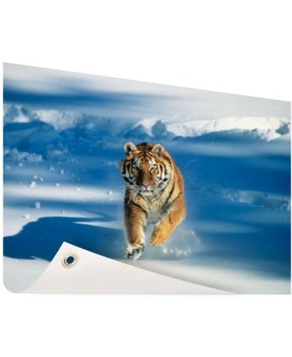 FotoCadeau.nl - Siberische tijger in de aanval Tuinposter 60x40 cm - Foto op Tuinposter (tuin decoratie)