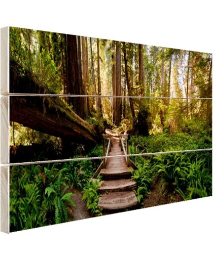 FotoCadeau.nl - Trap van gevallen bomen in jungle Hout 120x80 cm - Foto print op Hout (Wanddecoratie)