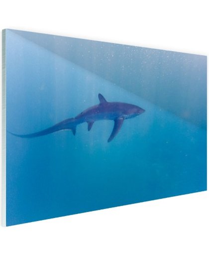 Alopias haai Glas 180x120 cm - Foto print op Glas (Plexiglas wanddecoratie)