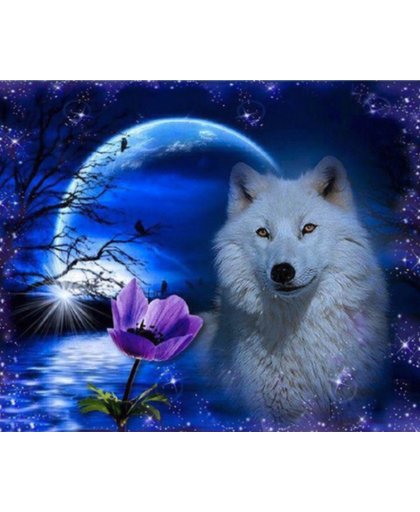 Diamond Painting Pakket Witte Wolf en de Maan - Volledig - Full - 40x30 cm - SEOS Shop ®