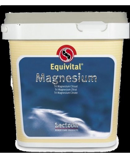 Equivital Magnesium 1 KG Sectolin