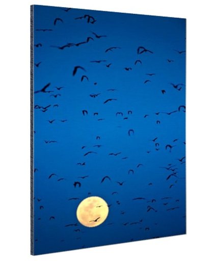 FotoCadeau.nl - Vleermuizen voor volle maan Aluminium 20x30 cm - Foto print op Aluminium (metaal wanddecoratie)