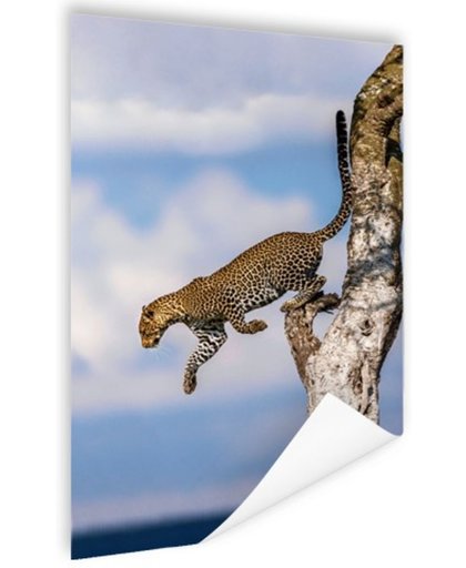 FotoCadeau.nl - Springende luipaard Poster 75x150 cm - Foto print op Poster (wanddecoratie)