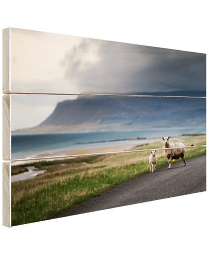 FotoCadeau.nl - IJslandse schapen Hout 80x60 cm - Foto print op Hout (Wanddecoratie)