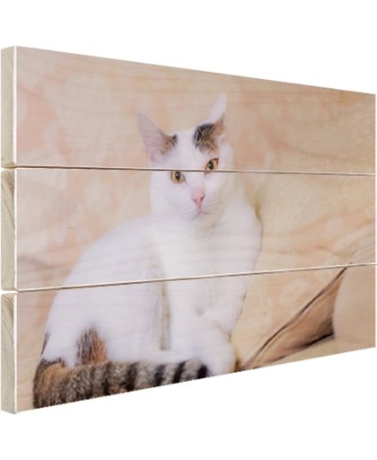 FotoCadeau.nl - Prachtige kat Hout 60x40 cm - Foto print op Hout (Wanddecoratie)