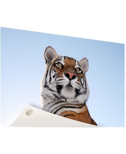 FotoCadeau.nl - Stoere tijger blauwe lucht Tuinposter 120x80 cm - Foto op Tuinposter (tuin decoratie)