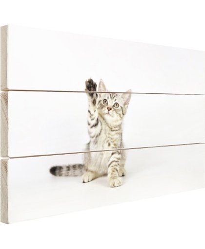 FotoCadeau.nl - Kitten steekt pootje in de lucht Hout 120x80 cm - Foto print op Hout (Wanddecoratie)