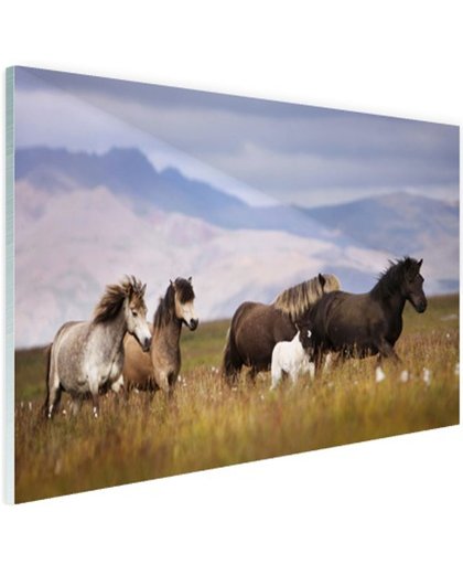 Paarden in de bergen Glas 180x120 cm - Foto print op Glas (Plexiglas wanddecoratie)