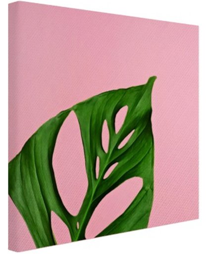 FotoCadeau.nl - Botanisch blad op roze Canvas 100x100 cm - Foto print op Canvas schilderij (Wanddecoratie)