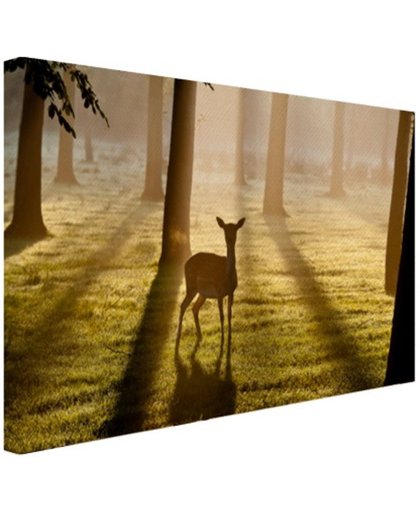 Hert in het bos foto afdruk Canvas 180x120 cm - Foto print op Canvas schilderij (Wanddecoratie)
